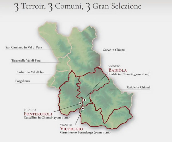 Chianti Classico Gran Selezione "Castello Fonterutoli" DOCG 2019